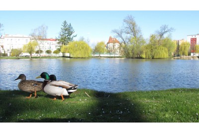 Fotosoutěž měsíčník Olomoucký kraj
