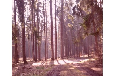 Fotosoutěž měsíčník Olomoucký kraj