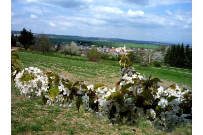 Fotosoutěž měsíčník Olomoucký kraj