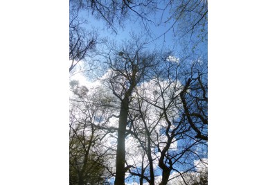 Fotosoutěž měsíčník Olomoucký kraj