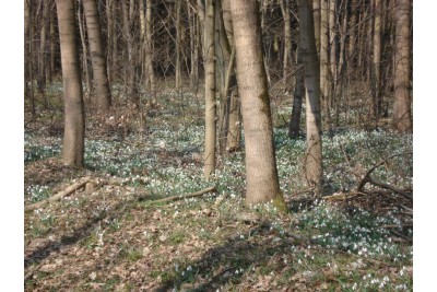 Fotosoutěž měsíčník Olomoucký kraj