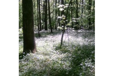 Fotosoutěž měsíčník Olomoucký kraj