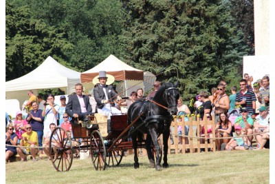 Josefkol 2015