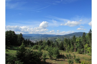 fotomok-50.jpg