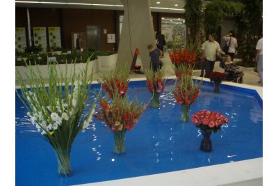fotomok-58.jpg