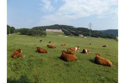 fotomok-60.jpg