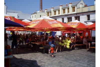fotomok-67.jpg