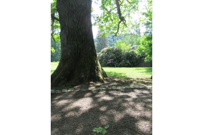 fotomok-8.jpg