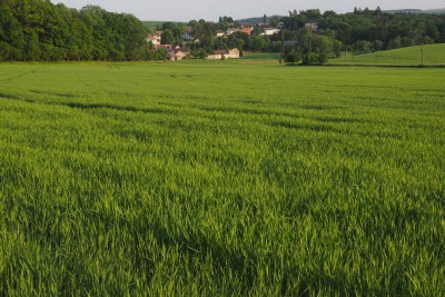 fotomok-80.jpg