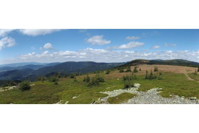 fotomok-90.jpg