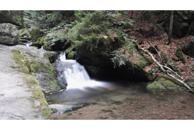 fotomok-92.jpg