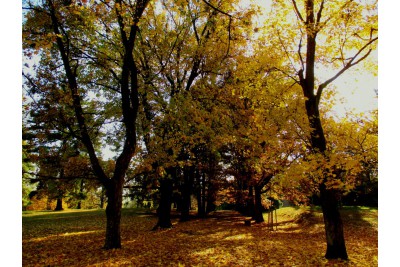 Soutěž Měsíčník Olomoucký kraj