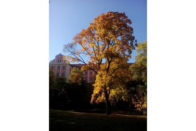Soutěž Měsíčník Olomoucký kraj