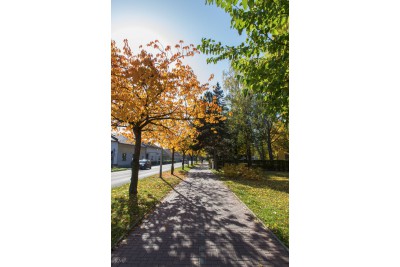 Soutěž Měsíčník Olomoucký kraj