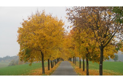 Soutěž Měsíčník Olomoucký kraj