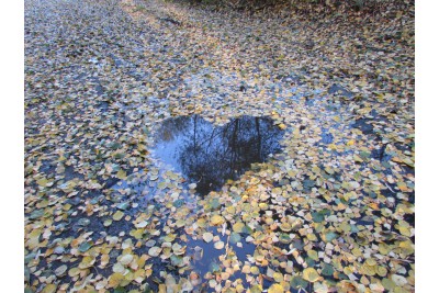 Soutěž Měsíčník Olomoucký kraj
