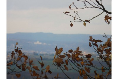 Soutěž Měsíčník Olomoucký kraj