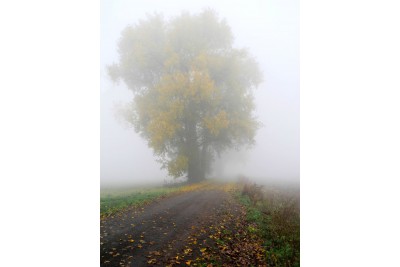 Soutěž Měsíčník Olomoucký kraj