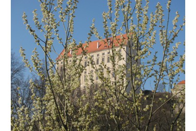 Fotosoutěž: Probouzející se Olomoucký kraj