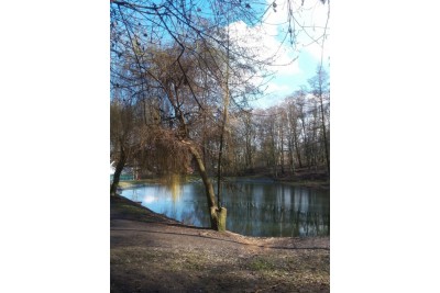 Fotosoutěž: Probouzející se Olomoucký kraj