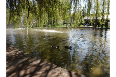 Fotosoutěž: Probouzející se Olomoucký kraj