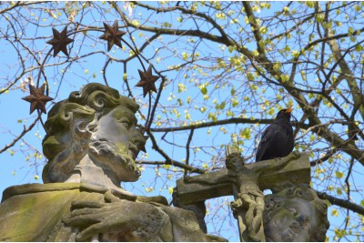 Fotosoutěž: Probouzející se Olomoucký kraj