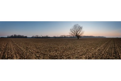 Fotosoutěž: Probouzející se Olomoucký kraj