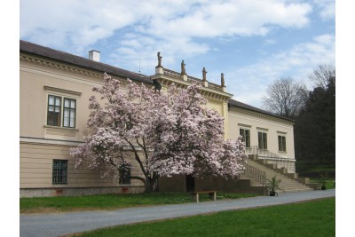 Fotosoutěž: Probouzející se Olomoucký kraj