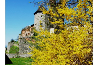 Fotosoutěž: Probouzející se Olomoucký kraj