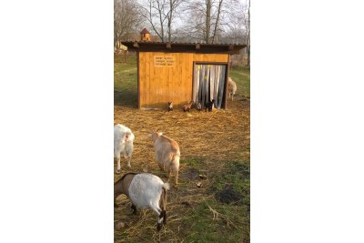 Fotosoutěž: Probouzející se Olomoucký kraj