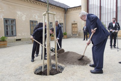 prezident-3-242.jpg