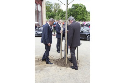 prezident-3-253.jpg