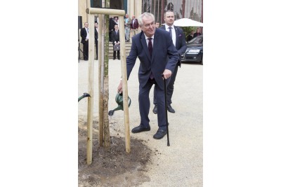 prezident-3-258.jpg