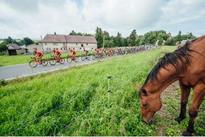 Czech Cycling Tour vyhrál Ital Ulissi, nejlepším z domácích jezdců je Karel Hník na čtvrtém místě