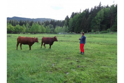 Fotosoutěž: To byl ale výlet!