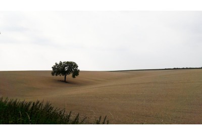 Fotosoutěž: To byl ale výlet!