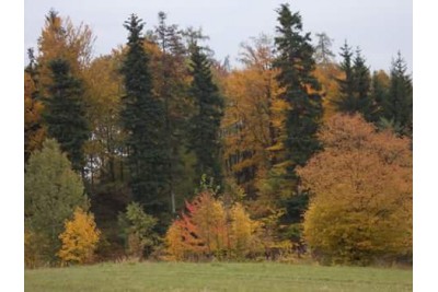 Fotosoutěž: Vtipný podzim