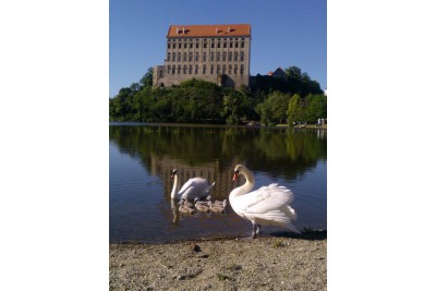 Fotosoutěž: Vtipný podzim