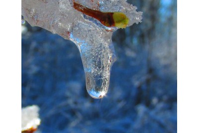 Fotosoutěž: Taková byla zima u nás