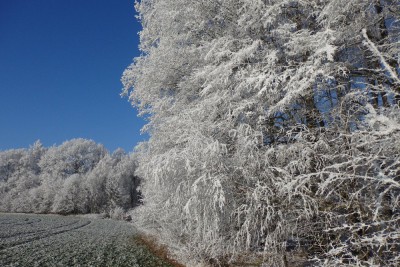 Fotosoutěž: Taková byla zima u nás