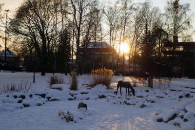 Fotosoutěž: Taková byla zima u nás