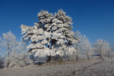 Fotosoutěž: Taková byla zima u nás