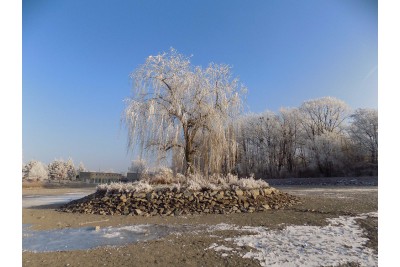 Fotosoutěž: Taková byla zima u nás