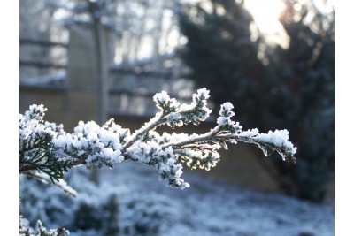 Fotosoutěž: Taková byla zima u nás