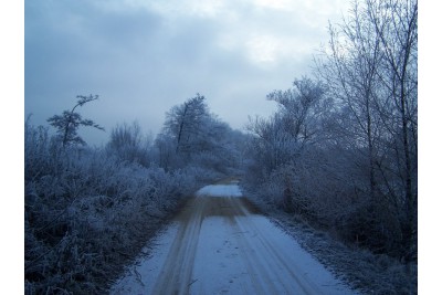 Fotosoutěž: Taková byla zima u nás