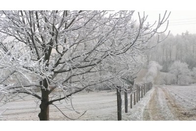 Fotosoutěž: Taková byla zima u nás