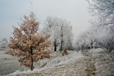 Fotosoutěž: Taková byla zima u nás