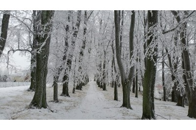 Fotosoutěž: Taková byla zima u nás