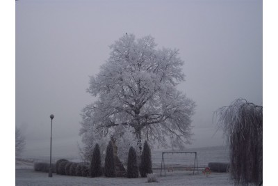 Fotosoutěž: Taková byla zima u nás