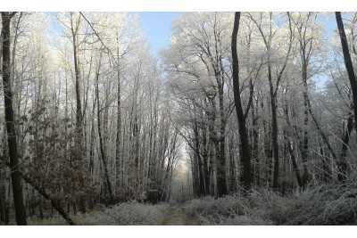 Fotosoutěž: Taková byla zima u nás